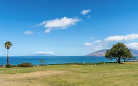 Maui Banyan Q-109